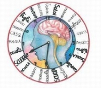 “Star bene a scuola ovvero della valutazione dello stress lavoro correlato al miglioramento della qualità di vita” “Star bene a scuola ovvero della valutazione dello stress lavoro correlato al miglioramento della qualità di vita”